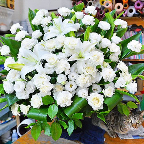 花物語　白いバラやユリのアレンジメントとネコ