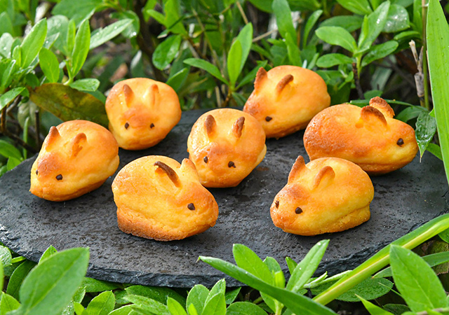 うさぎの形をしたベイクドチーズケーキ