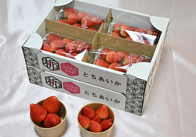 とちあいか 贈答用